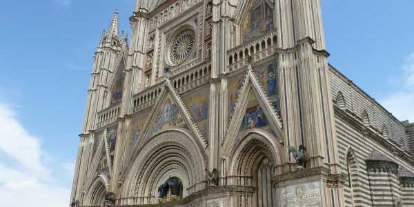 Orvieto and the olive oil: visit to the town and to a mill with tasting